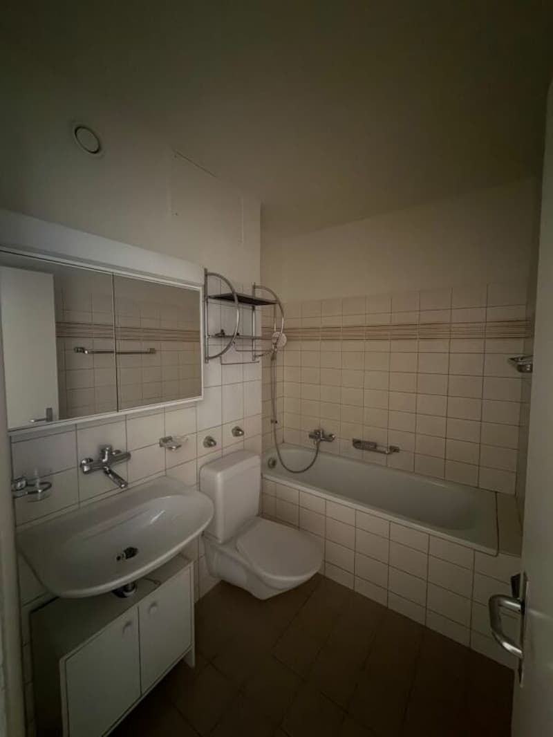 Wunderschöne 3,5-Zimmer-Wohnung ab sofort zu vermieten! (8)