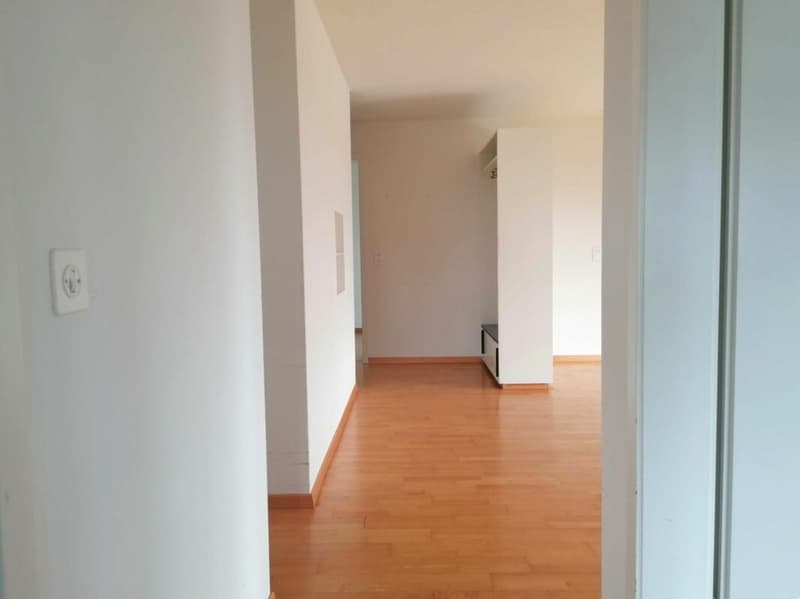 Familienwohnung im Zentrum (5)