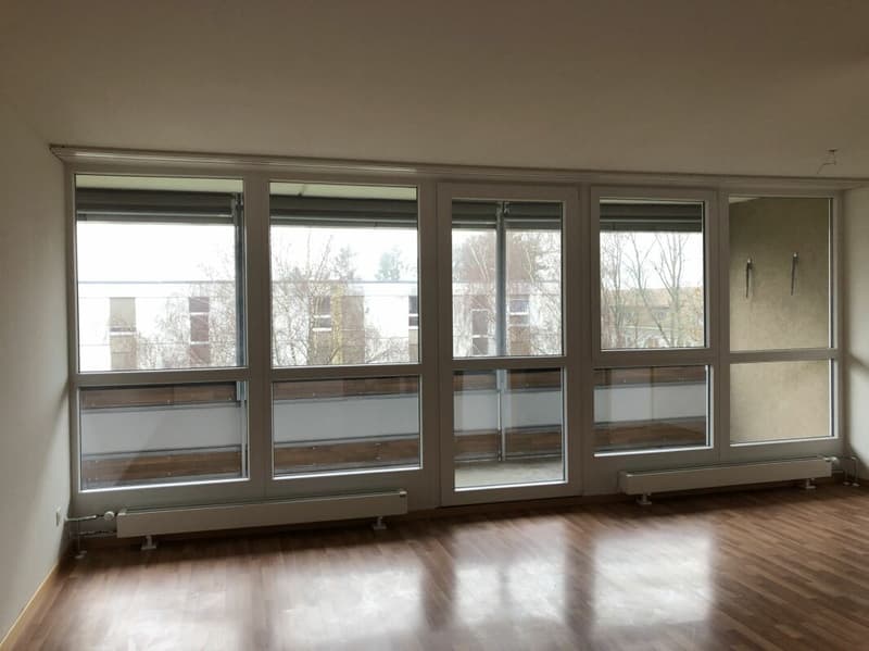 Neu renovierte 5.5 Zi Wohnung im 1. Stock (7)