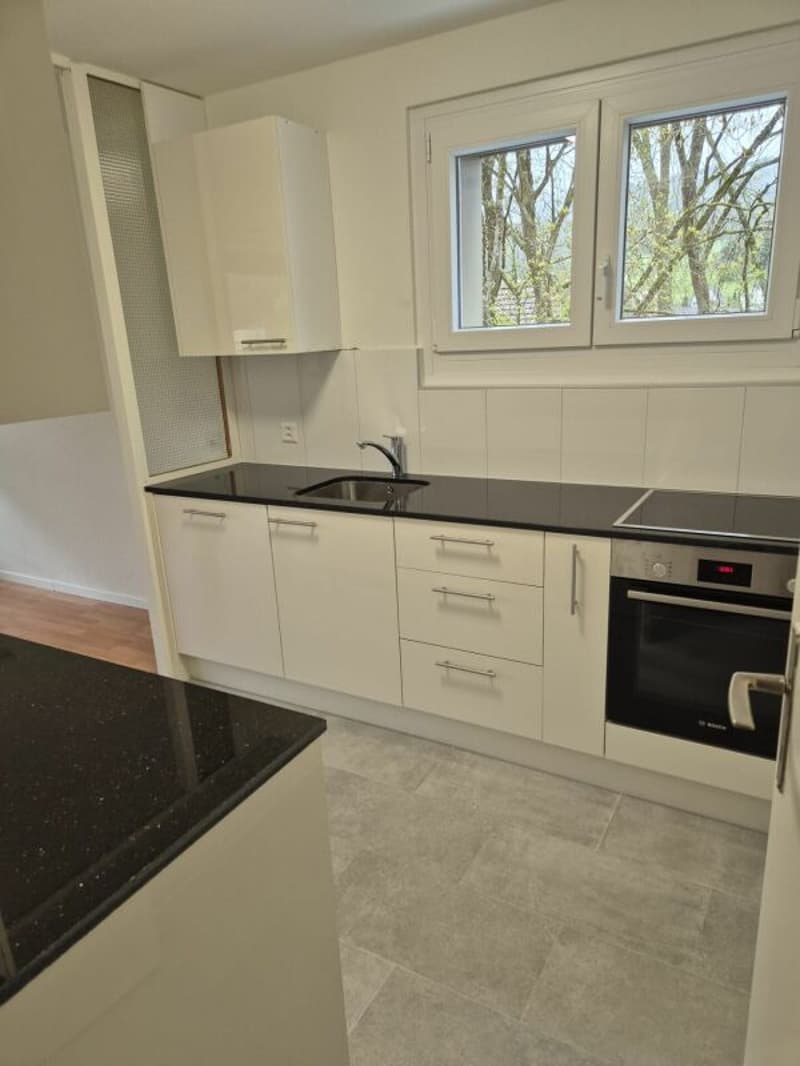 Neu renovierte 5.5 Zi Wohnung im 1. Stock (1)