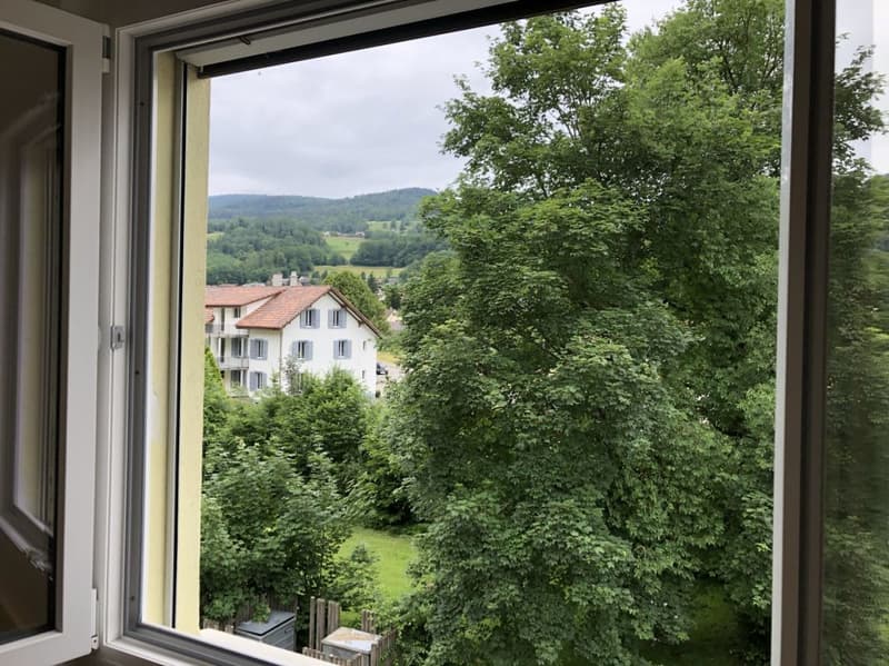 2.5 Zimmerwohnung im 2. Stock (7)
