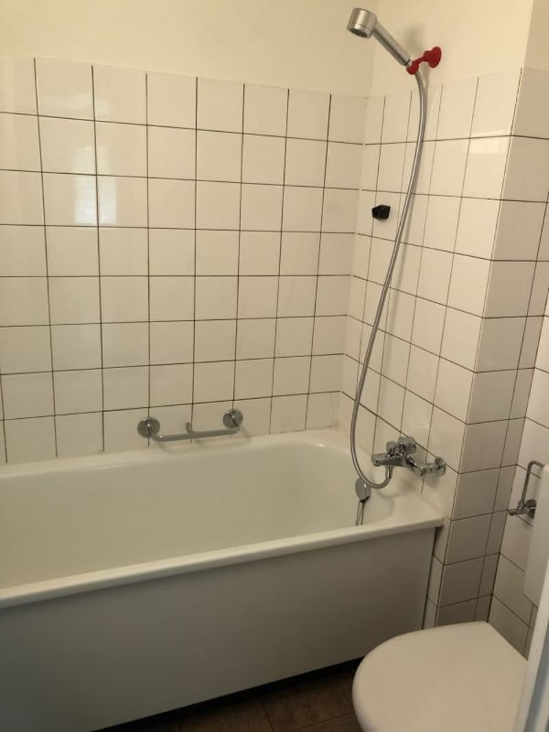 2.5 Zimmerwohnung im 2. Stock (5)