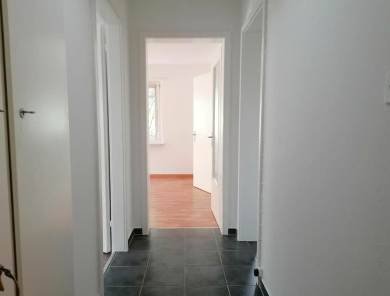 Erdgeschosswohnung (4)