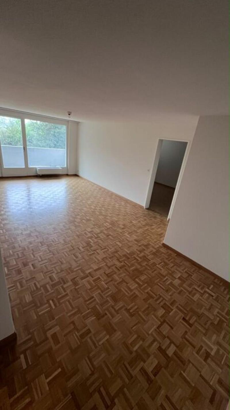 schöne helle 2 1/2 Zimmer Wohnung (1)