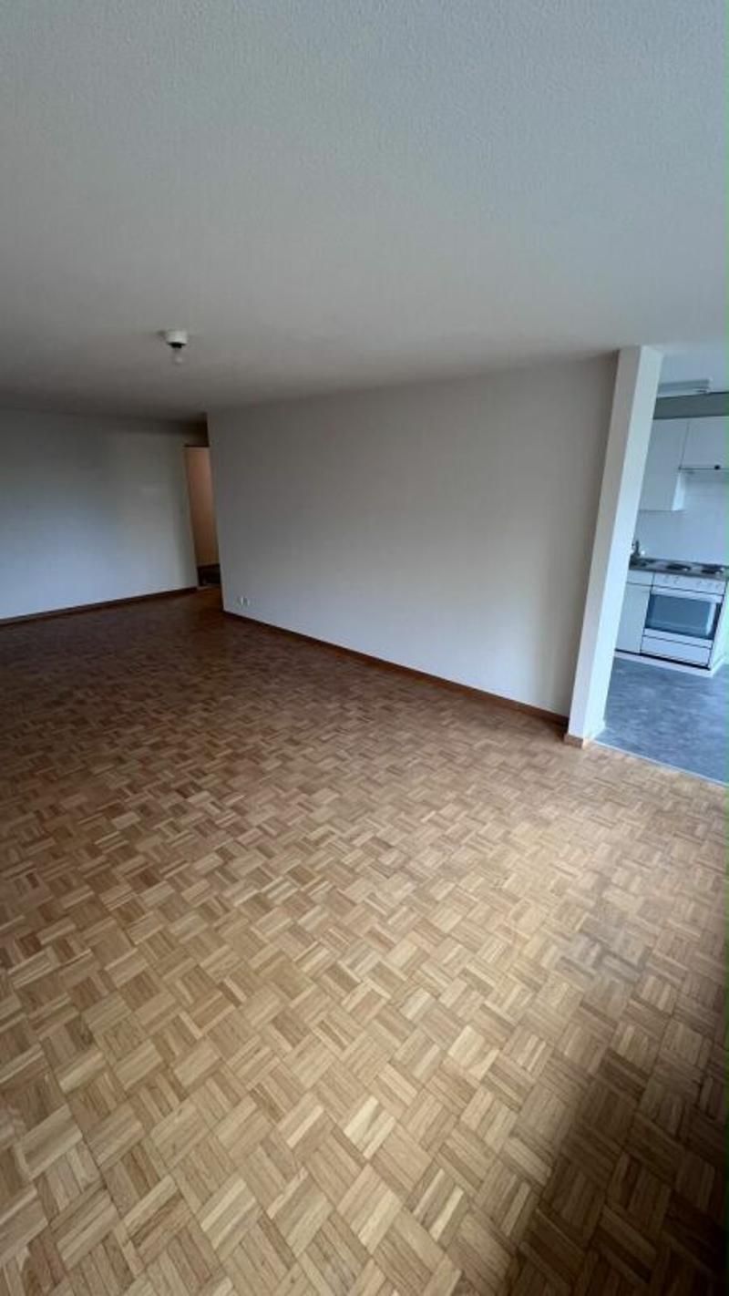 schöne helle 2 1/2 Zimmer Wohnung (4)