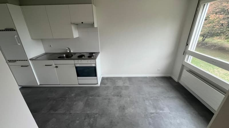 schöne helle 2 1/2 Zimmer Wohnung (5)