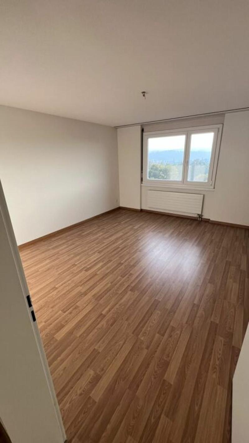 schöne helle 2 1/2 Zimmer Wohnung (2)