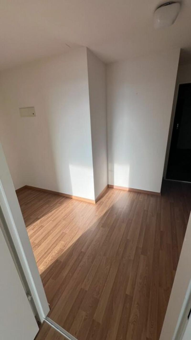 schöne helle 2 1/2 Zimmer Wohnung (3)