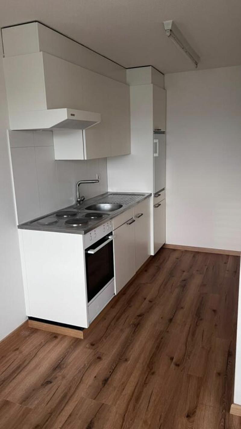 Schöne helle 2 1/2 Zimmer Wohnung (3)
