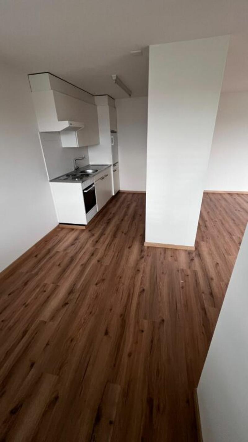 Schöne helle 2 1/2 Zimmer Wohnung (1)
