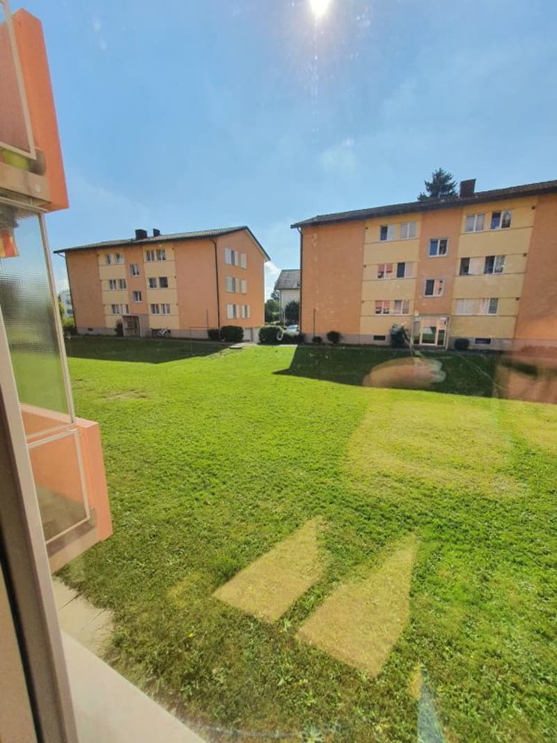 schöne 2.5-zimmer Wohnung im Hochparterre (1)