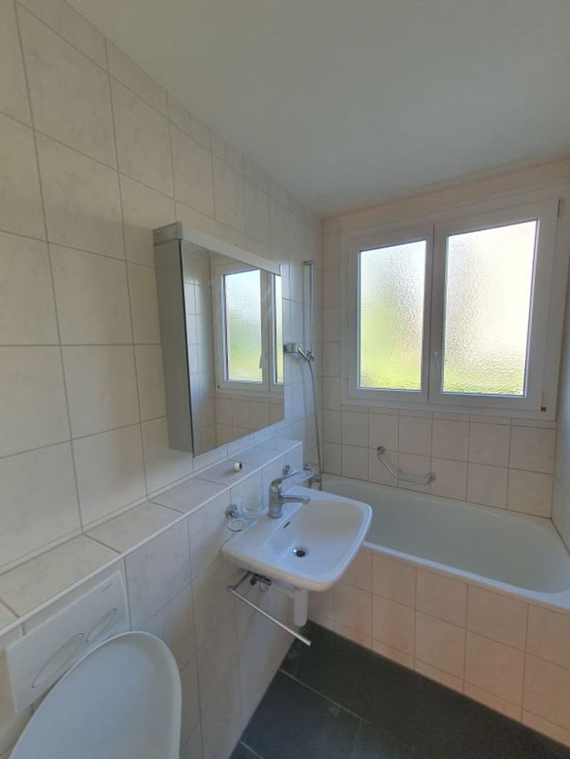 schöne 2.5-zimmer Wohnung im Hochparterre (9)