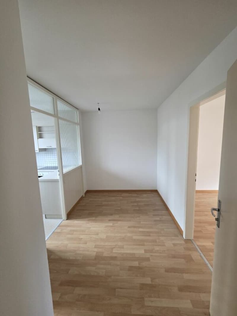 schöne 2.5-zimmer Wohnung im Hochparterre (2)