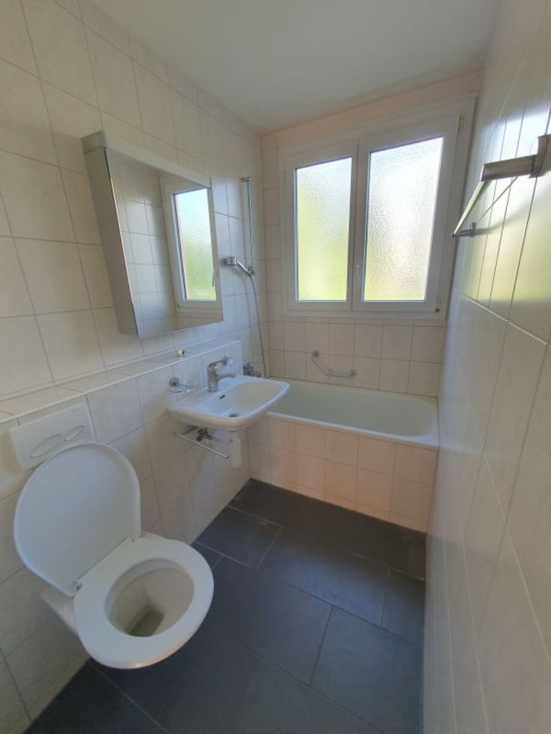 schöne 2.5-zimmer Wohnung im Hochparterre (8)