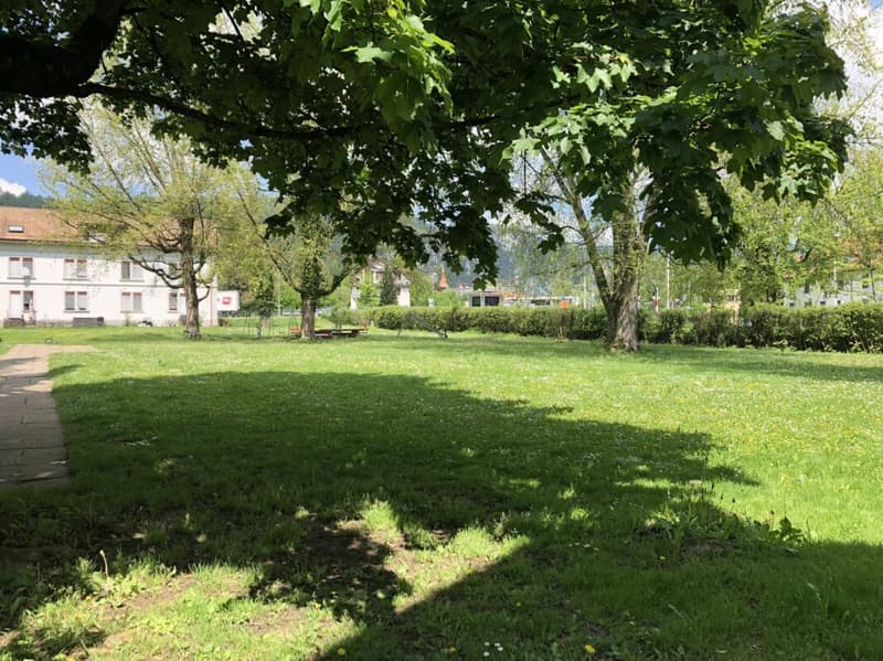 3 Zimmer Wohnung im EG ohne Balkon (7)