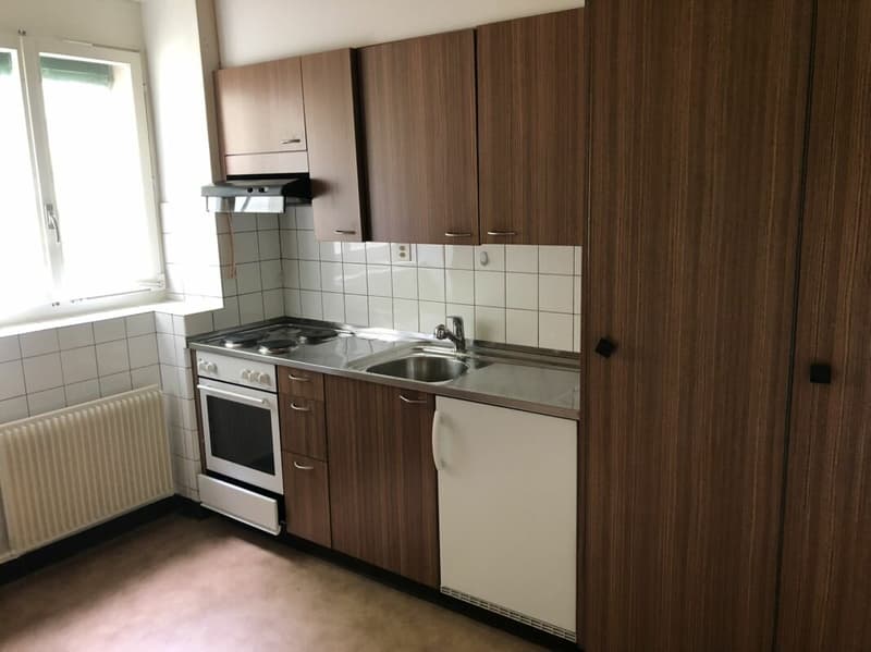 3 Zimmer Wohnung im EG ohne Balkon (3)