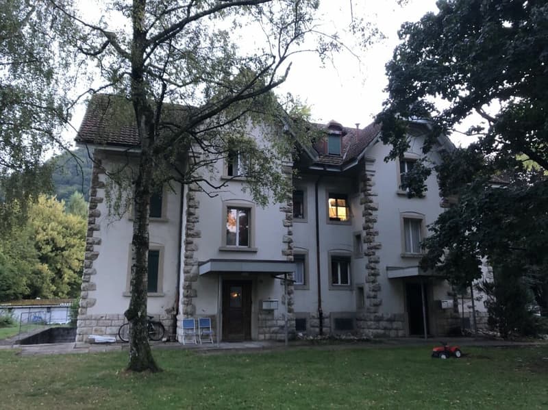 3 Zimmer Wohnung im EG ohne Balkon (1)