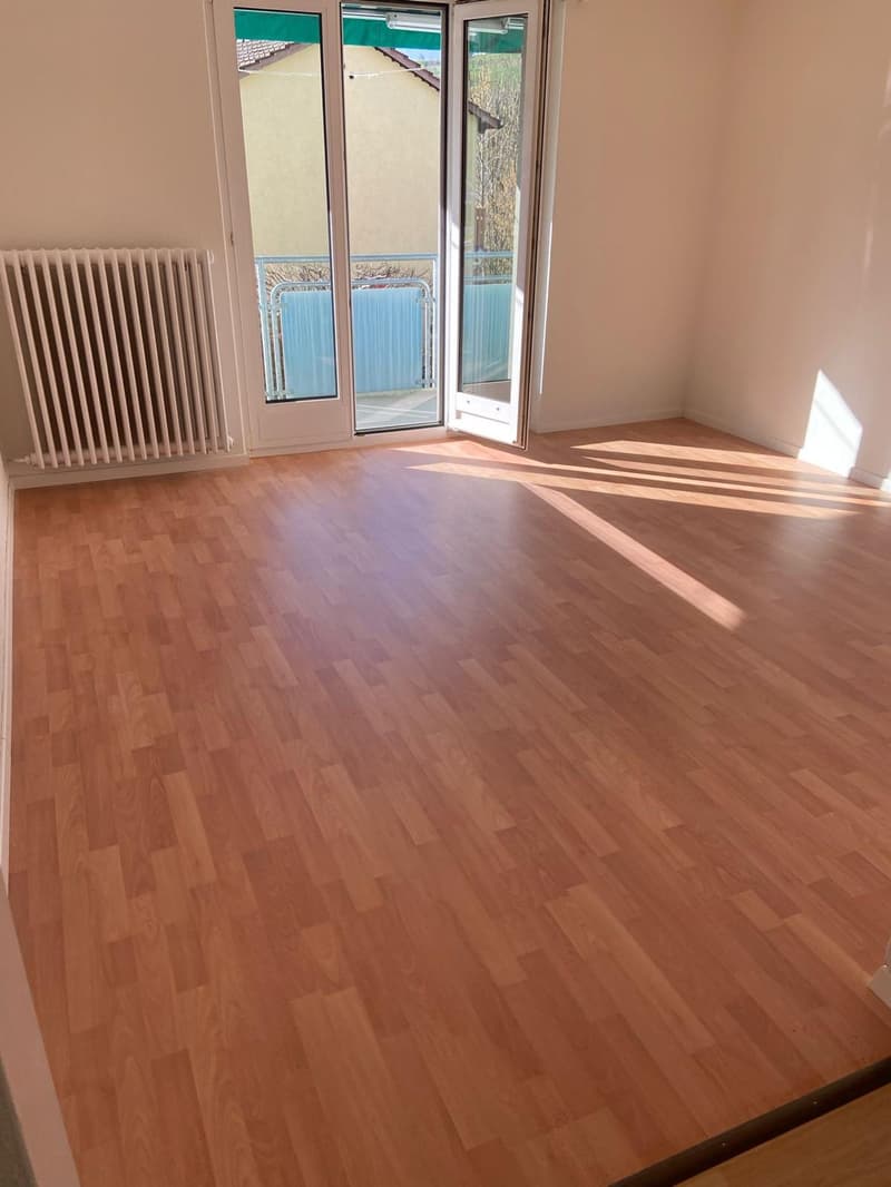 Ottimo appartamento di 3 locali con balcone a Wald ZH (1)