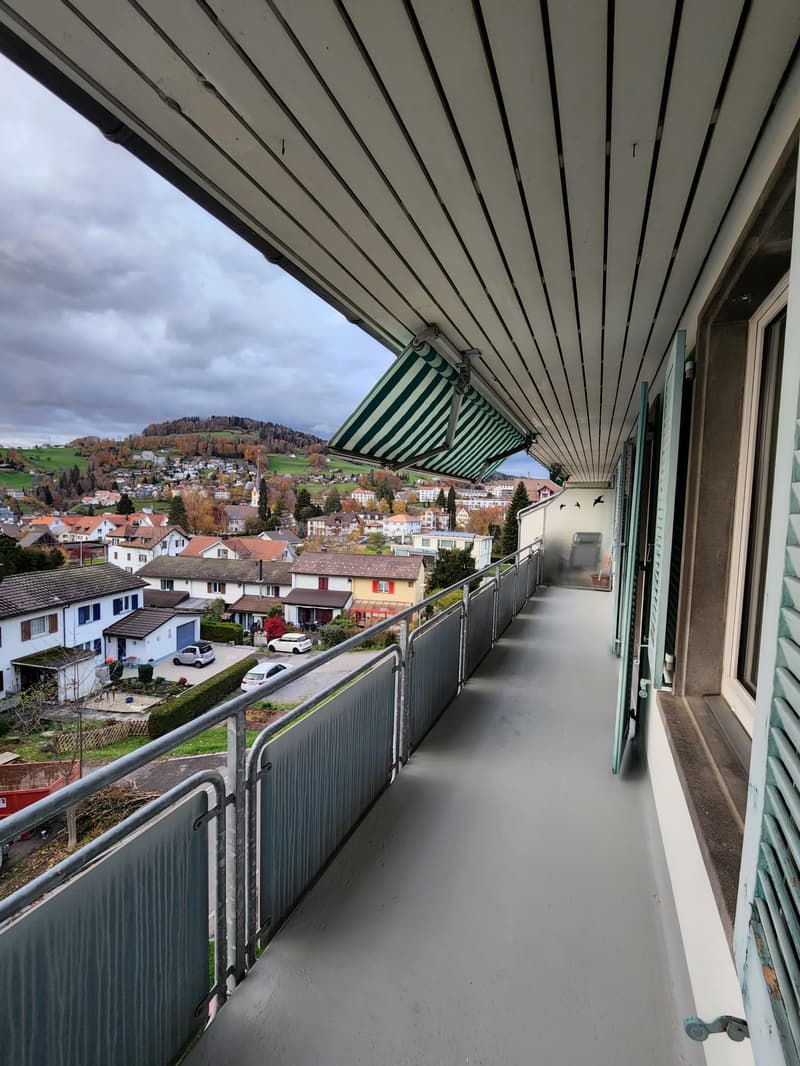 Ottimo appartamento di 3 locali con balcone a Wald ZH (10)