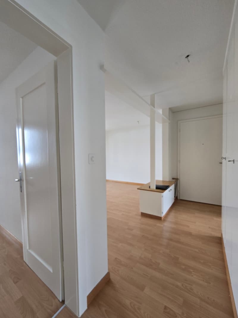 Ottimo appartamento di 3 locali con balcone a Wald ZH (6)