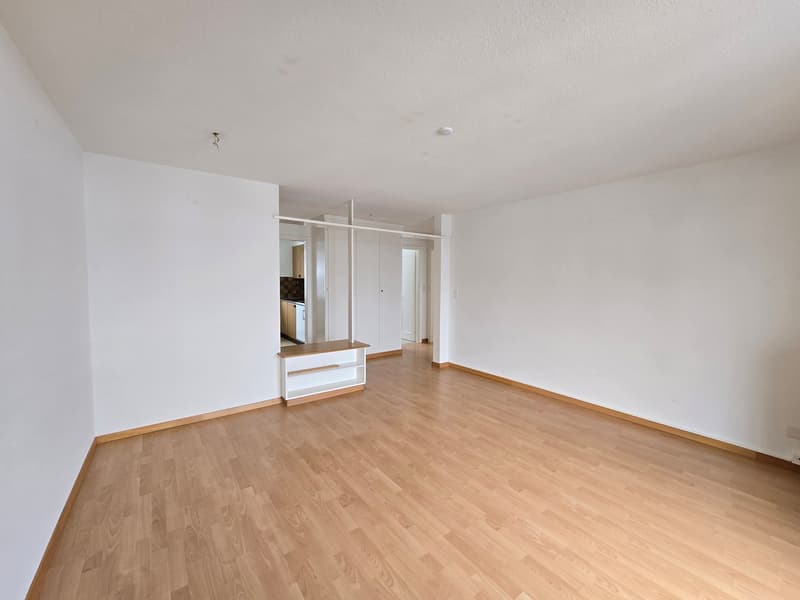 Ottimo appartamento di 3 locali con balcone a Wald ZH (3)