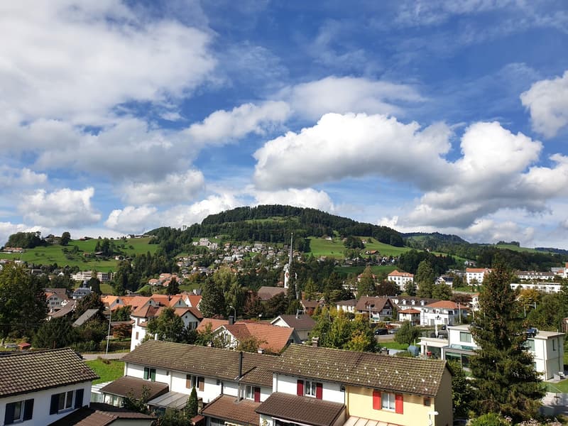 Ottimo appartamento di 3 locali con balcone a Wald ZH (11)