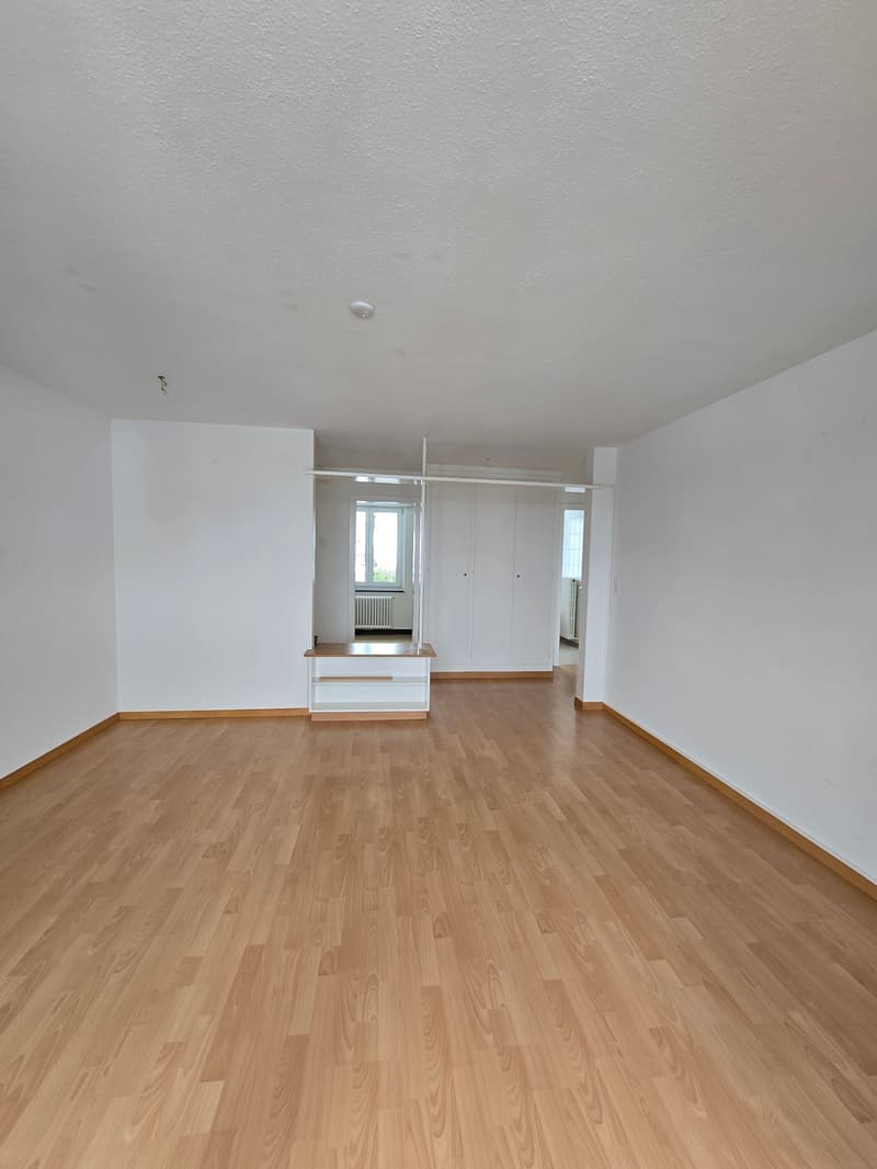 Ottimo appartamento di 3 locali con balcone a Wald ZH (4)