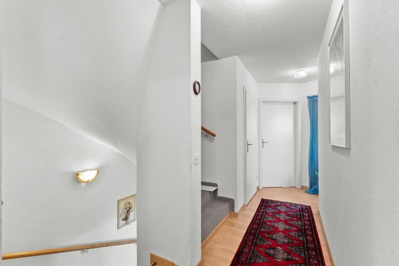 Large House Seeks Family Connection (9)