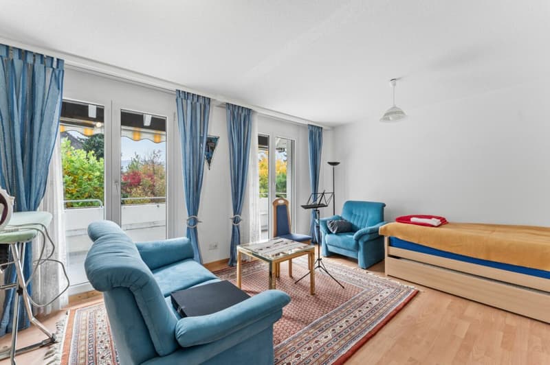 Large House Seeks Family Connection (7)