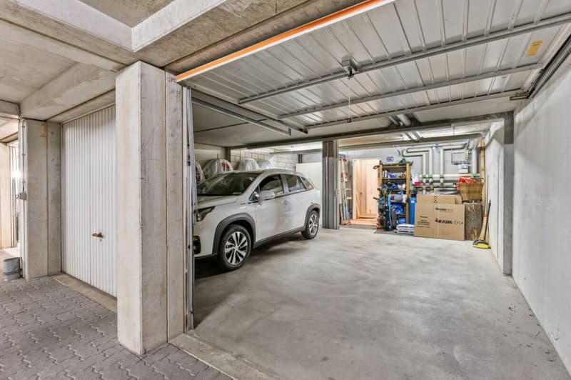 Large House Seeks Family Connection (10)