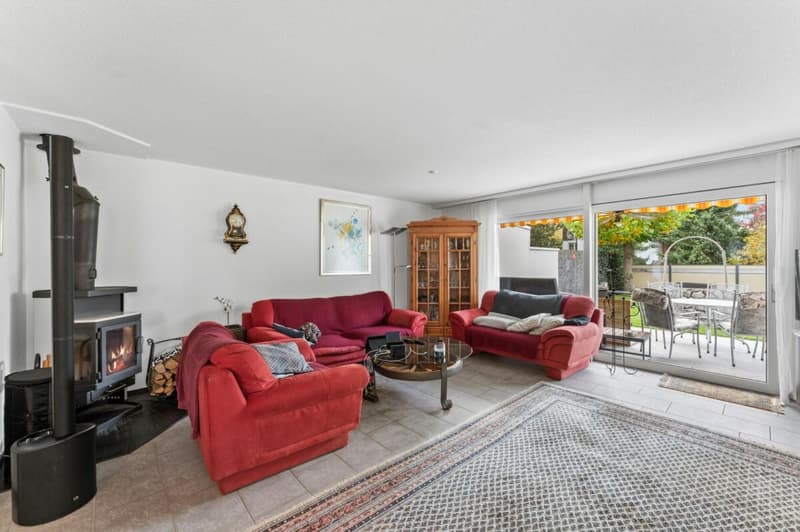 Large House Seeks Family Connection (5)