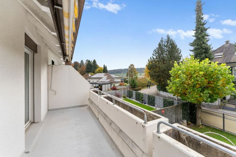 Large House Seeks Family Connection (4)