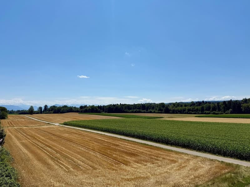 Ausblick