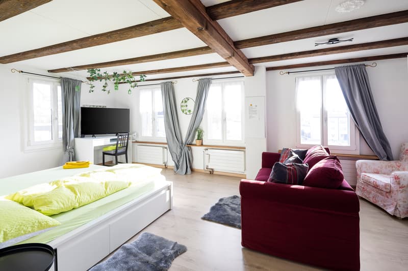 Meraviglia di spazio con giardino e possibilità diverse (11)