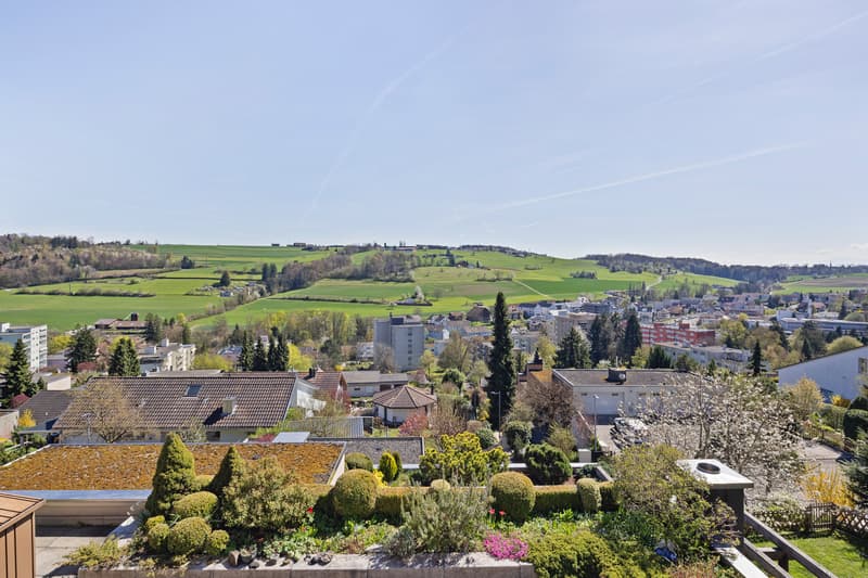 Dream view with garden and numerous possibilities (5)