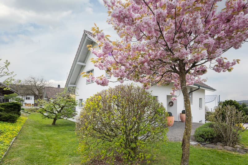 Dream home with a fantastic view and flexible usage options (3)