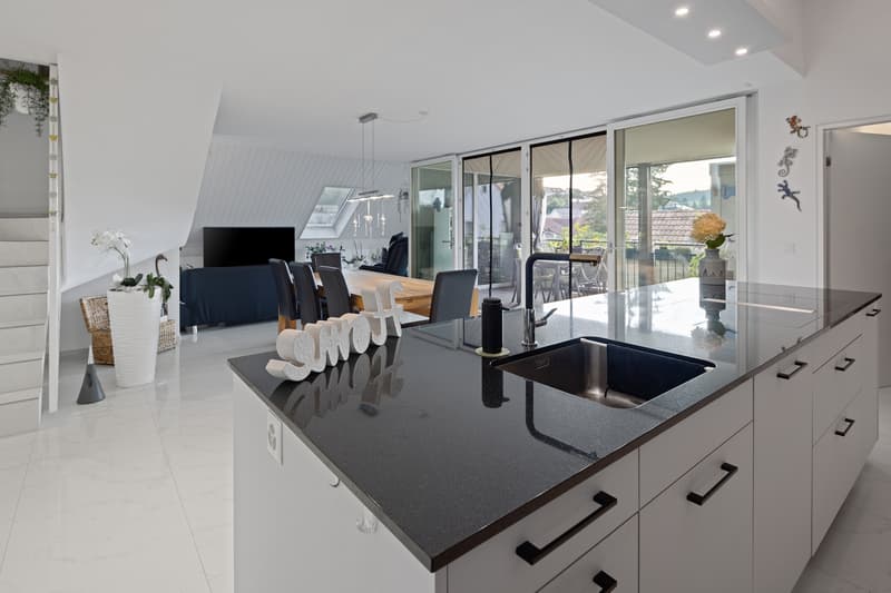 Elegant, spacious, and newly renovated in a central location (3)