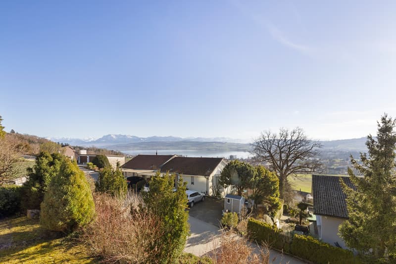 Living of the extra class with lake and mountain view as well as indoor pool (1)