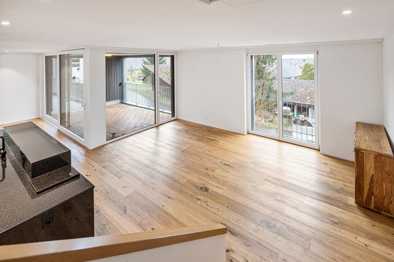 Versatile space wonder with separate apartment and many possibilities (2)
