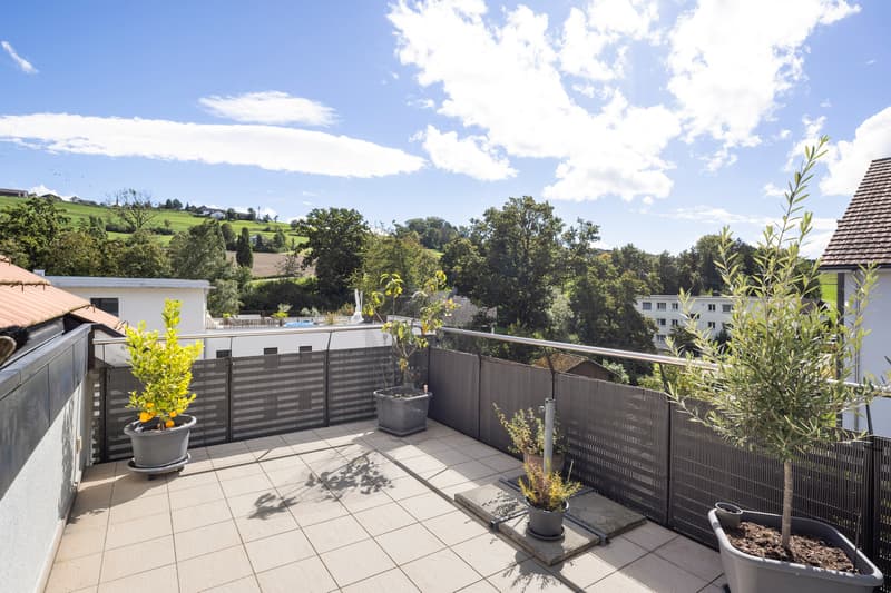 Joyau résidentiel lumineux avec vue lointaine et terrasse ensoleillée (1)