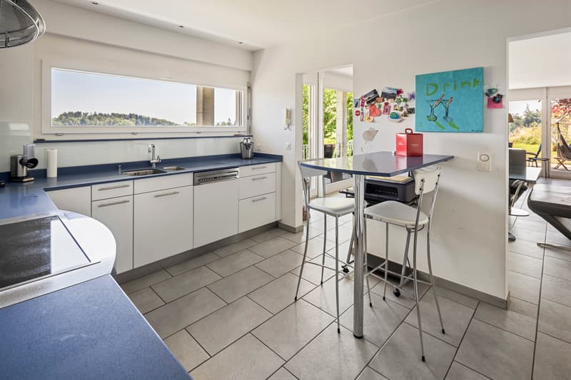 Spacious residential house with unobstructable far-reaching views and large surroundings (7)