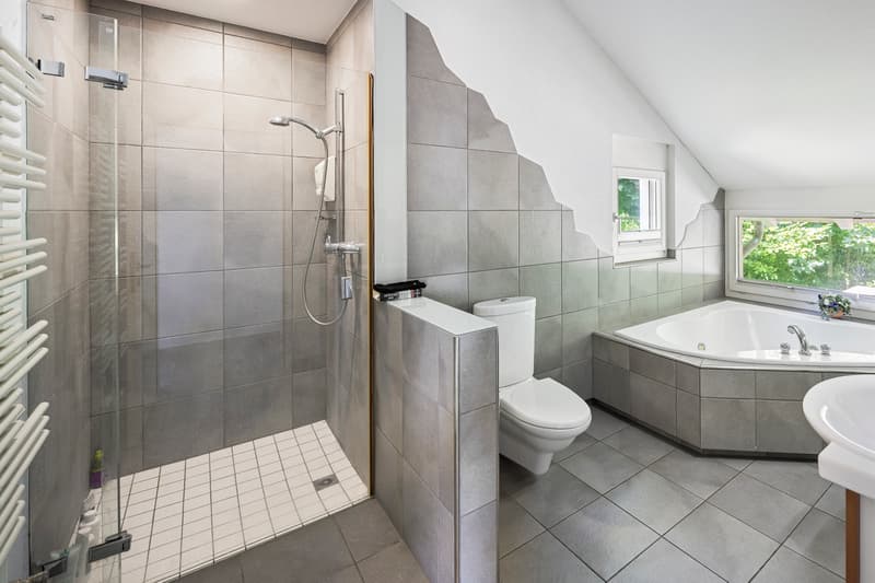Spacious residential house with unobstructable far-reaching views and large surroundings (12)
