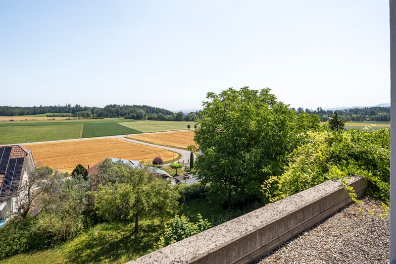 Spacious residential house with unobstructable far-reaching views and large surroundings (1)
