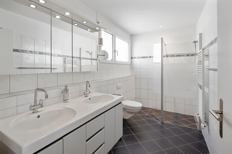 Spacious maisonette with two terraces and a breathtaking Alpine view (13)