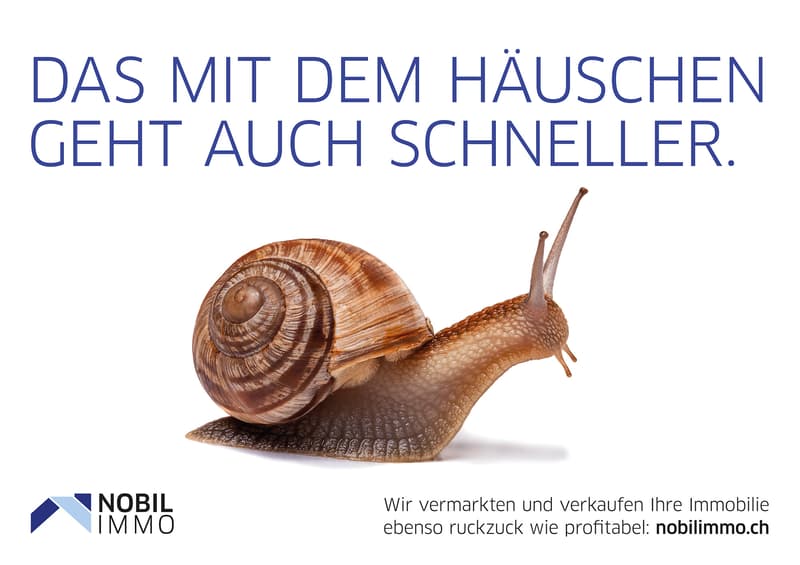 Vielseitiges Bauland mit attraktivem Potenzial nahe Zürich (2)