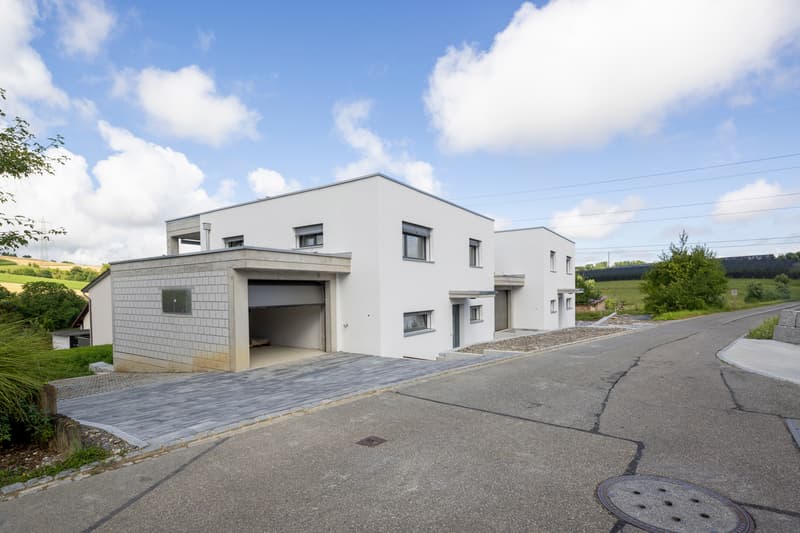 NEUBAU: Wohnen an sonnig-idyllischer Lage (12)