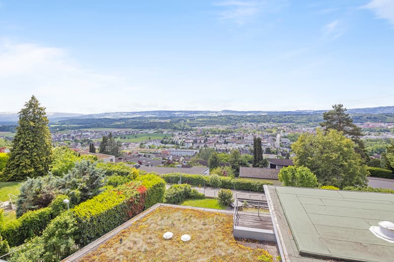 Wohntraum mit unverbaubarer Weitsicht und grosser Terrasse (11)