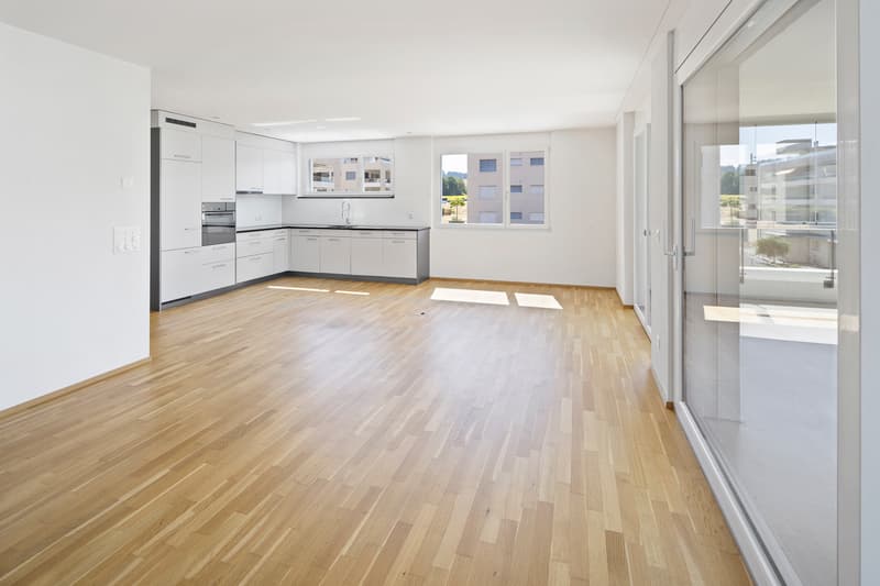 Moderne Wohnoase mit grosser Terrasse und viel Licht (1)