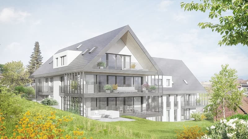 Grosse Terrasse und moderne Ausbau über dem Nebel (1)