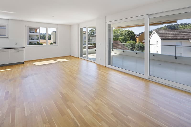 Moderne Wohnoase mit grosser Terrasse und viel Licht (3)
